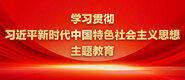 艹比操逼草网站55学习贯彻习近平新时代中国特色社会主义思想主题教育_fororder_ad-371X160(2)